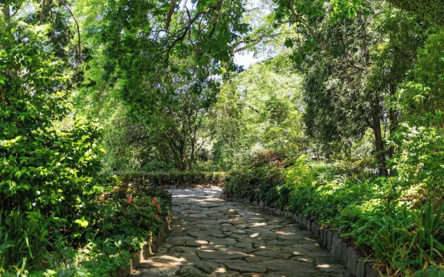 Leura Gardens Resort