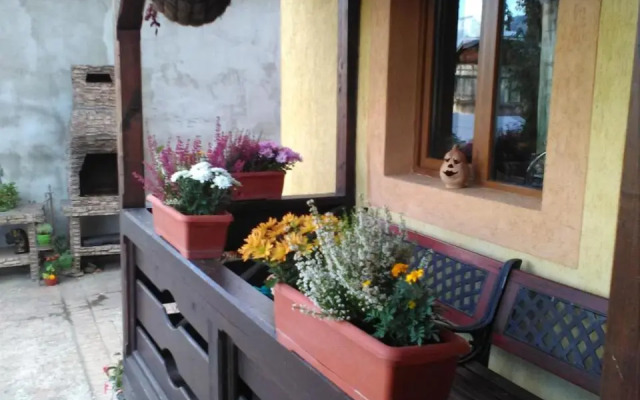 Pension Dariana