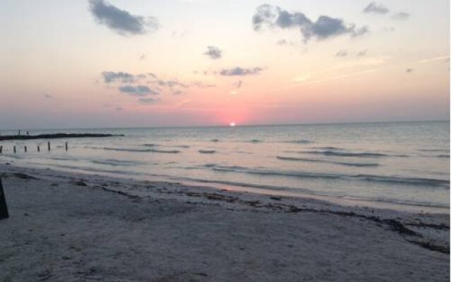 Elements Holbox