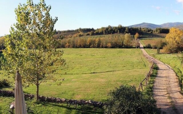 Romignano Wine Farm