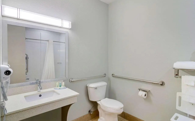 Holiday Inn Express Hotel & Suites Decatur-I-20 East (Panola Rd)