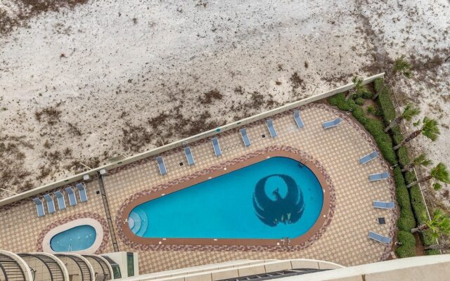 Phoenix IX by Brett Robinson Vacations