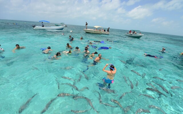 Belize Dive Haven