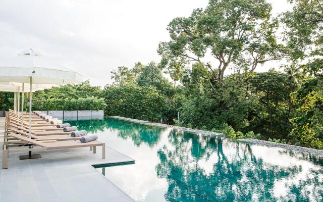 Treeline Urban Resort