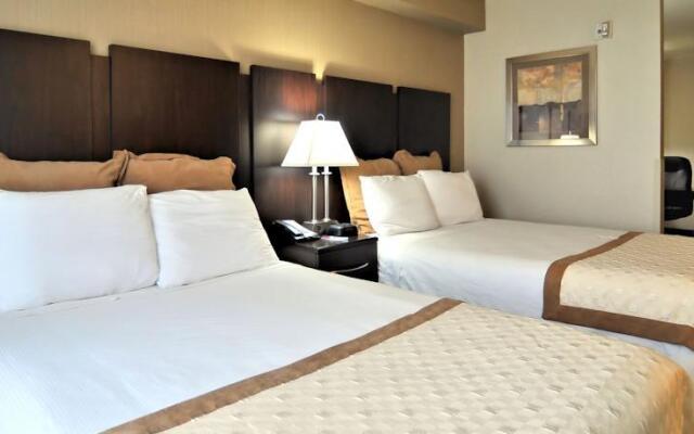 Comfort Suites University