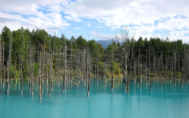 Hoshino Resorts RISONARE Tomamu