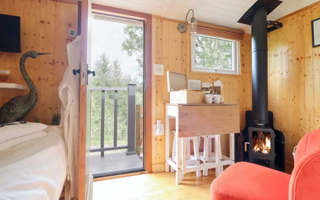 Red Kite at Wild Valley Huts