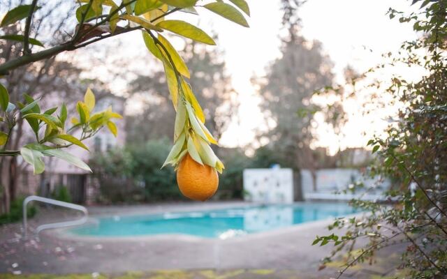 Camellia Inn