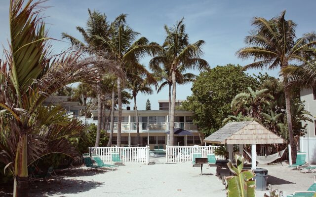 Coquina On The Beach