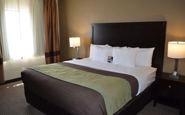 Comfort Inn Downtown