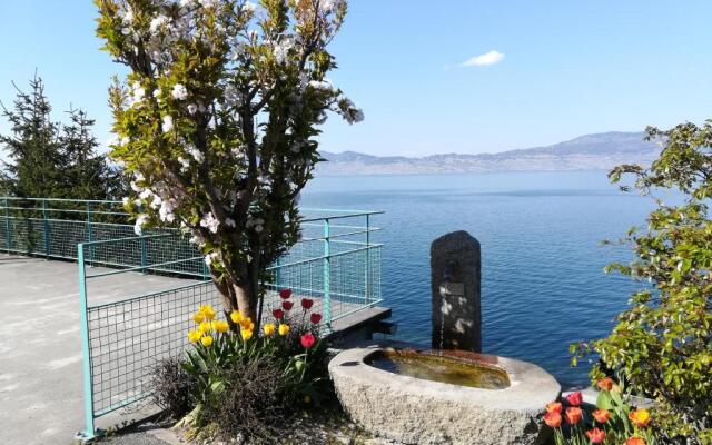 Hotel Le Léman