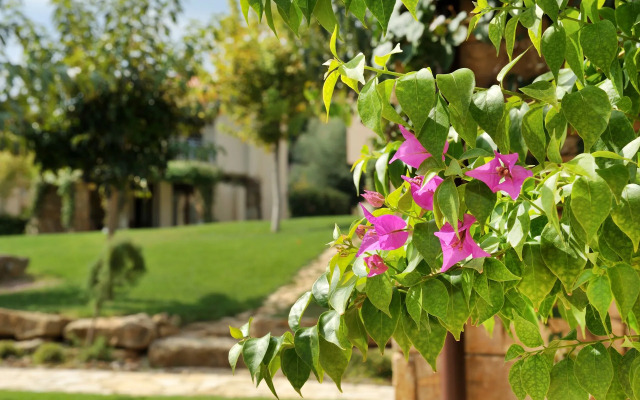 Sani Polyastron Hotel & Spa