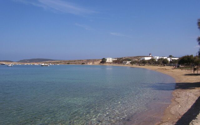 Despina's Mare