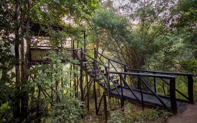Pugdundee Safaris- Tree House Hideaway