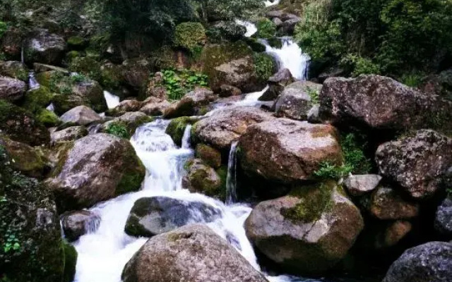 Dujiangyan June Rain Homestay