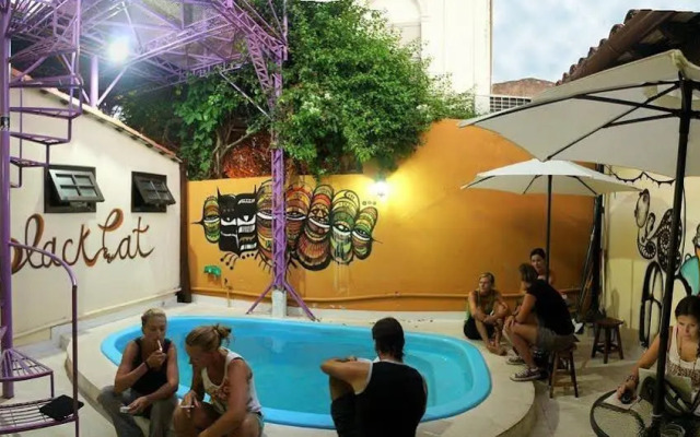 Black Cat Hostel