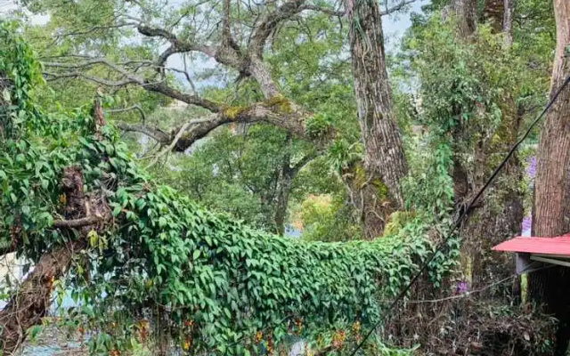 Rang Dong Hotel Dalat