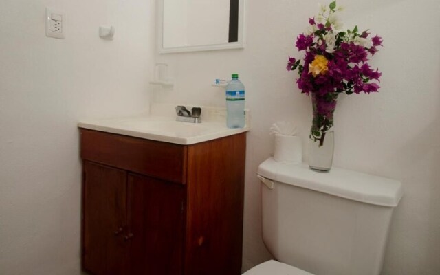 International House Riviera Maya Hotel