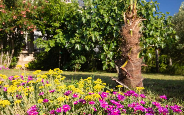 Studio Point of view