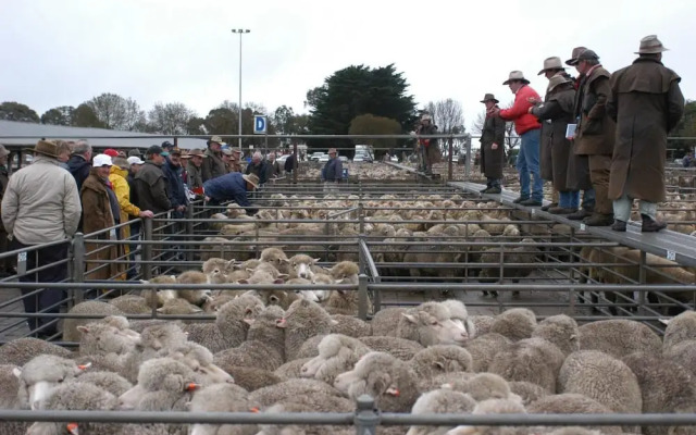 Hamilton Caravan Park