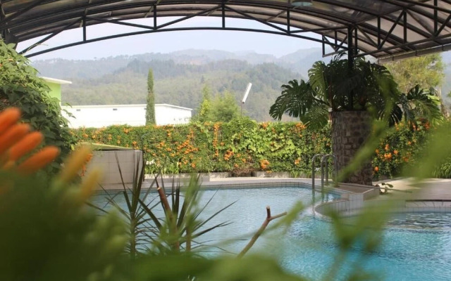 De View Hotel