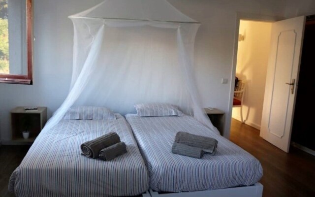 Akivillas Tavira Pine