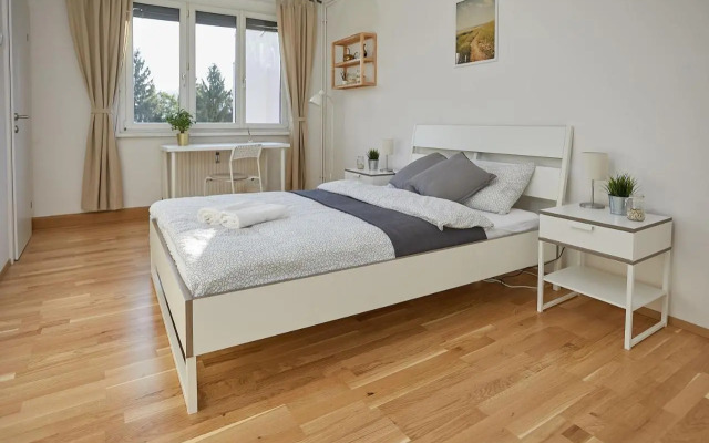 Gemütliches Apartment in zentraler Lage