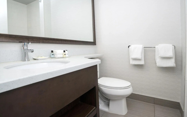 Sandman Hotel & Suites Calgary South