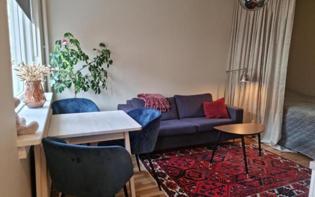 Majorstuen studio apartment