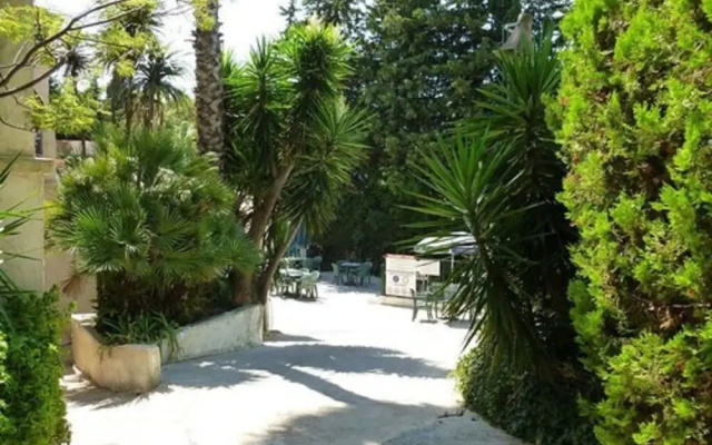 Camping Panoramic
