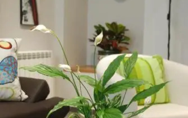 Apartamento Judería