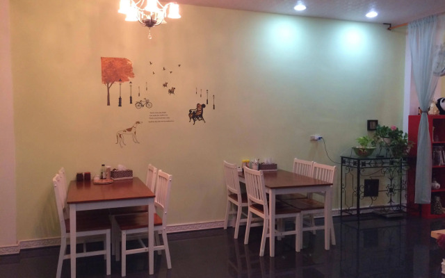 Dreamer 24 Guest House