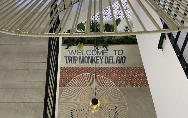 Trip Monkey del Río
