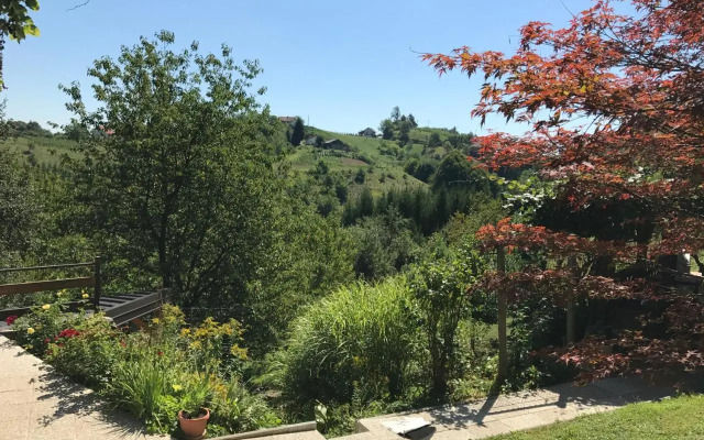 Wine & Nature & Tour
