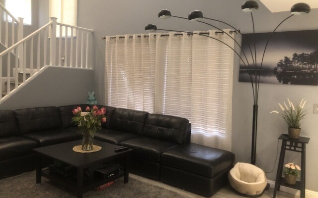 Locationstripeverything Is Closemodel House