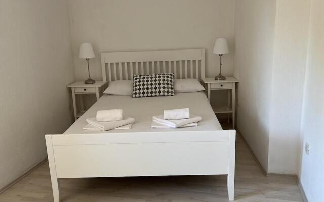 Central Apartment Bol