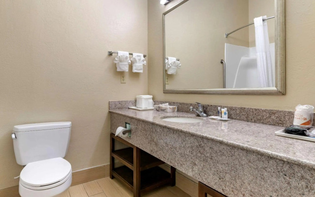 Comfort Inn & Suites Statesboro - University Area