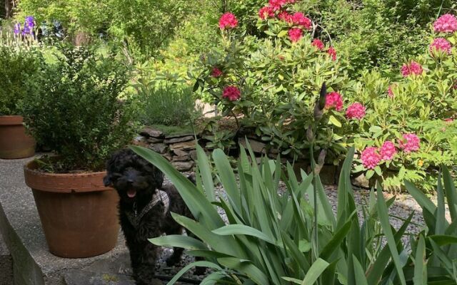 Salt Spring Carriage House B&B