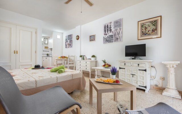 530 Big Studio with Terrace