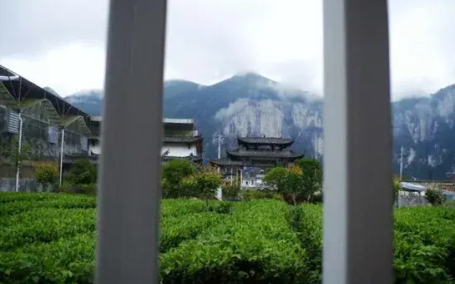 Selenium Tea Ecological Garden