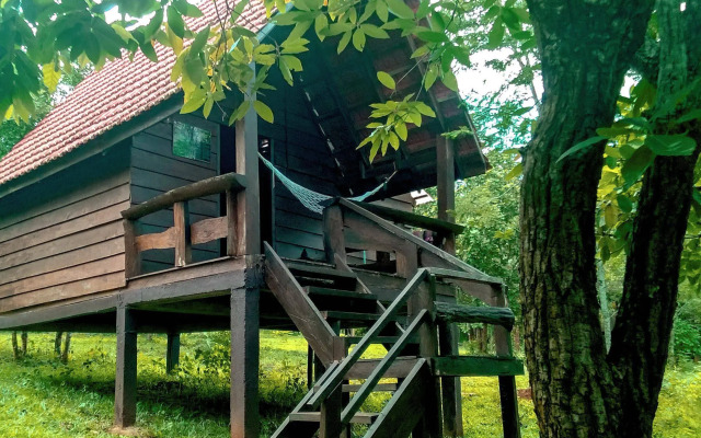 Nature Lodge