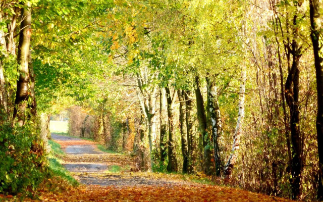 Landgasthof Grüner Baum