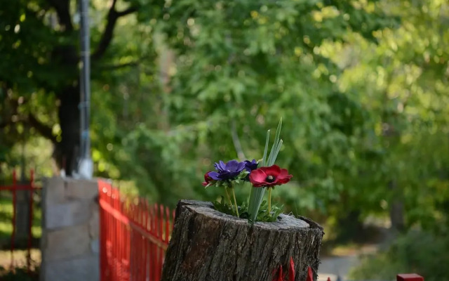 Zeusplace Valentina's House Elatochori