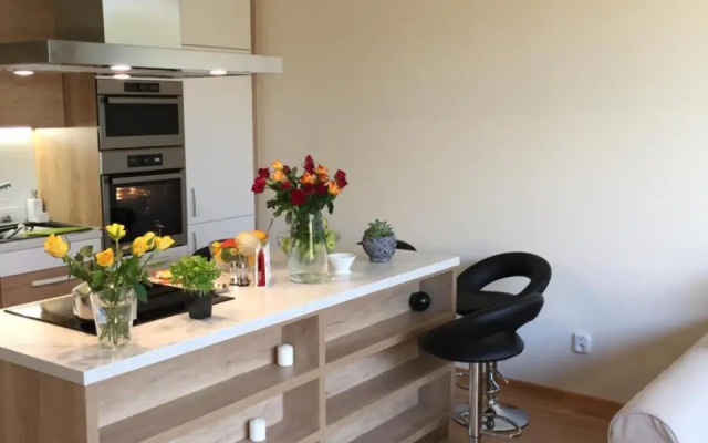 Triplex Residence, Lux-appartment in the central part