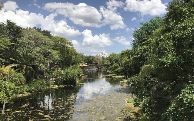 Hampton Inn Orlando/Lake Buena Vista