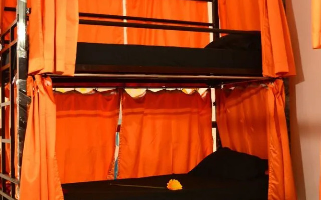 Social Rehab Downtown