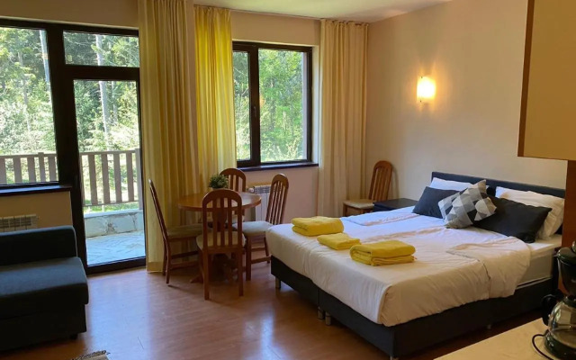 Flora Ski-slope Studio Apartment