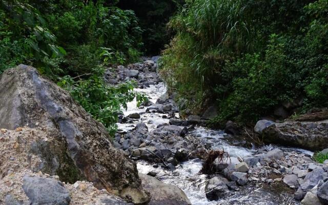 Miztli Lodge & Adventures
