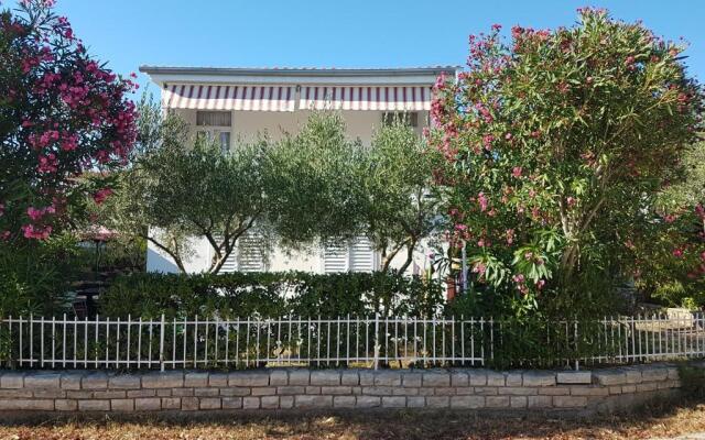 Apartman Roko