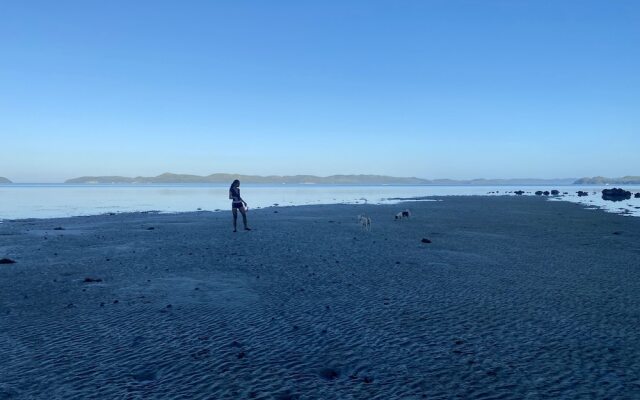 Cocovana Beach Resort - Hostel - Adults Only